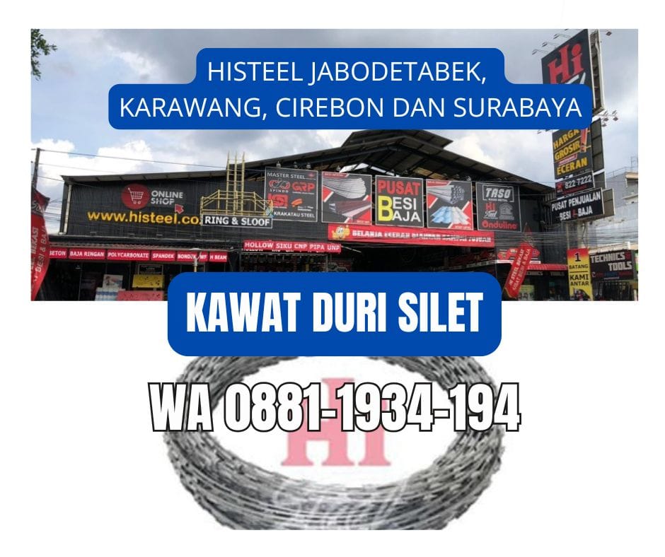 Jual Kawat Duri Silet BTO 22