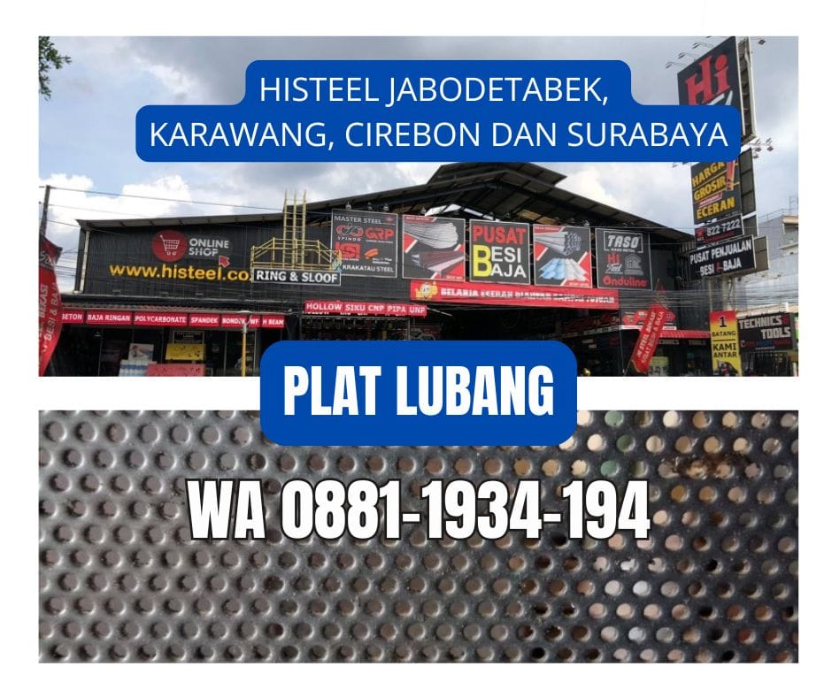 Jual Plat Lubang tebal 5mm